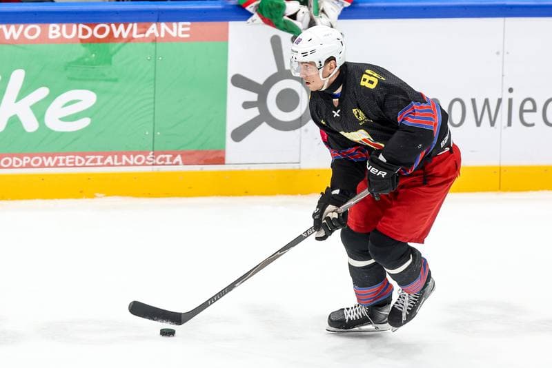 Ice Hockey. Tauron Hokej Liga. ECB Zaglebie Sosnowiec - BS Polonia Bytom. 09.01.2026