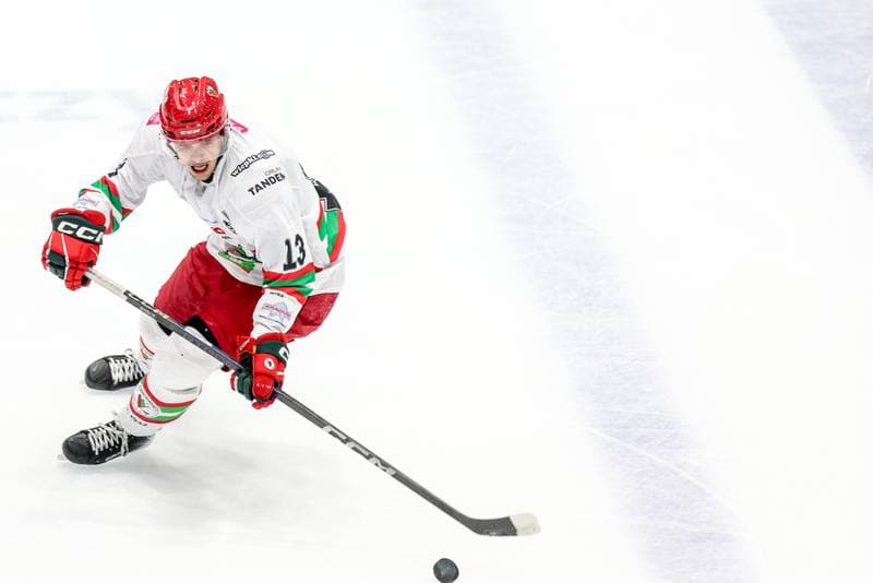 Ice Hockey. Tauron Hokej Liga. ECB Zaglebie Sosnowiec - BS Polonia Bytom. 09.01.2026