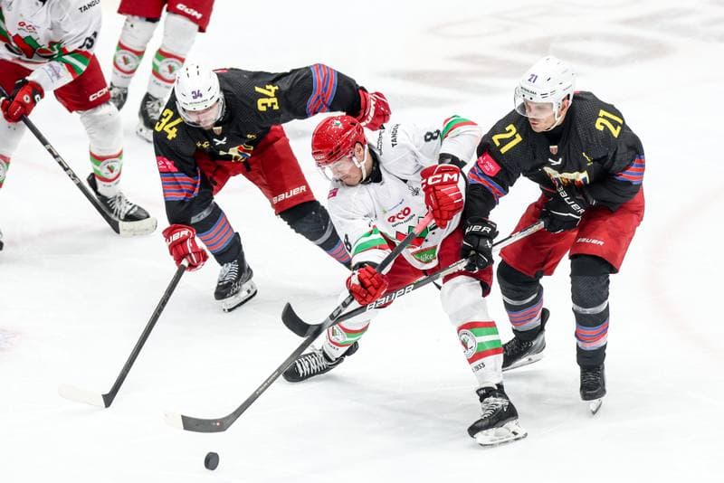 Ice Hockey. Tauron Hokej Liga. ECB Zaglebie Sosnowiec - BS Polonia Bytom. 09.01.2026