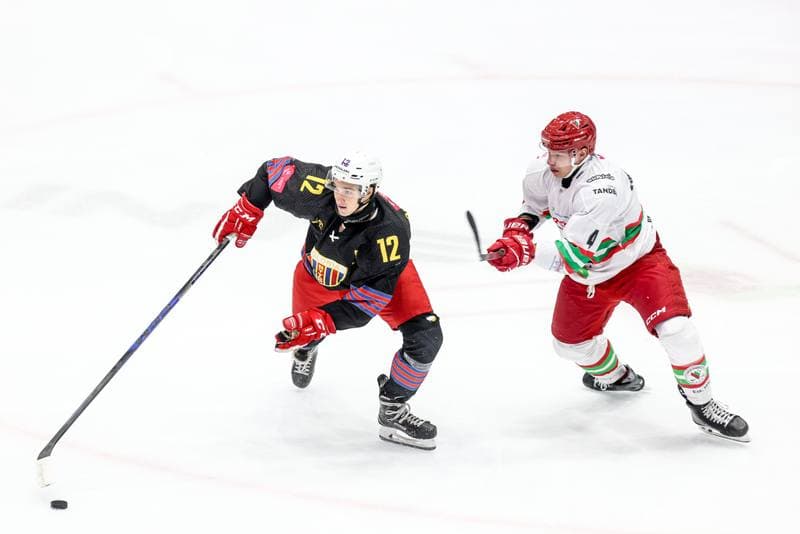 Ice Hockey. Tauron Hokej Liga. ECB Zaglebie Sosnowiec - BS Polonia Bytom. 09.01.2026