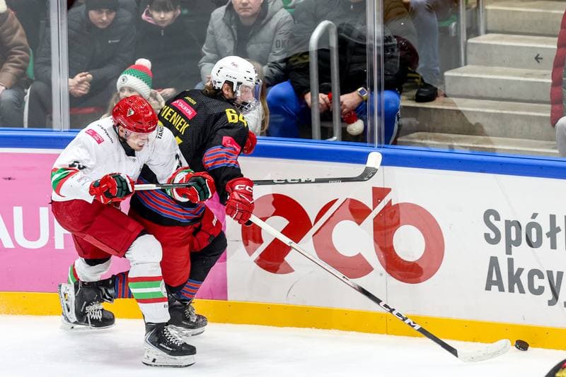 Ice Hockey. Tauron Hokej Liga. ECB Zaglebie Sosnowiec - BS Polonia Bytom. 09.01.2026