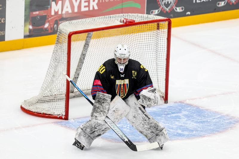 Ice Hockey. Tauron Hokej Liga. ECB Zaglebie Sosnowiec - BS Polonia Bytom. 09.01.2026