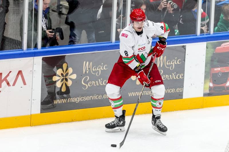 Ice Hockey. Tauron Hokej Liga. ECB Zaglebie Sosnowiec - BS Polonia Bytom. 09.01.2026