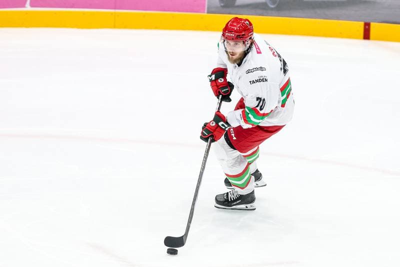 Ice Hockey. Tauron Hokej Liga. ECB Zaglebie Sosnowiec - BS Polonia Bytom. 09.01.2026