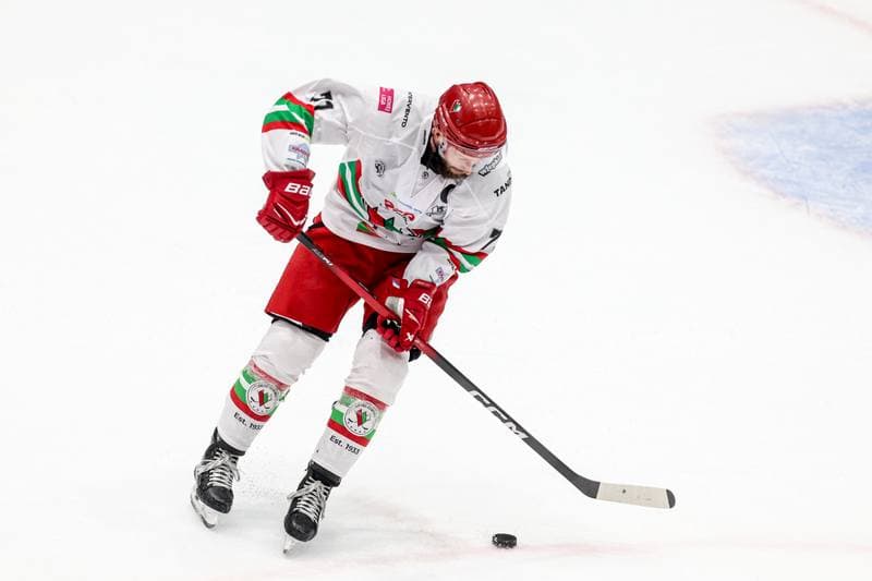 Ice Hockey. Tauron Hokej Liga. ECB Zaglebie Sosnowiec - BS Polonia Bytom. 09.01.2026