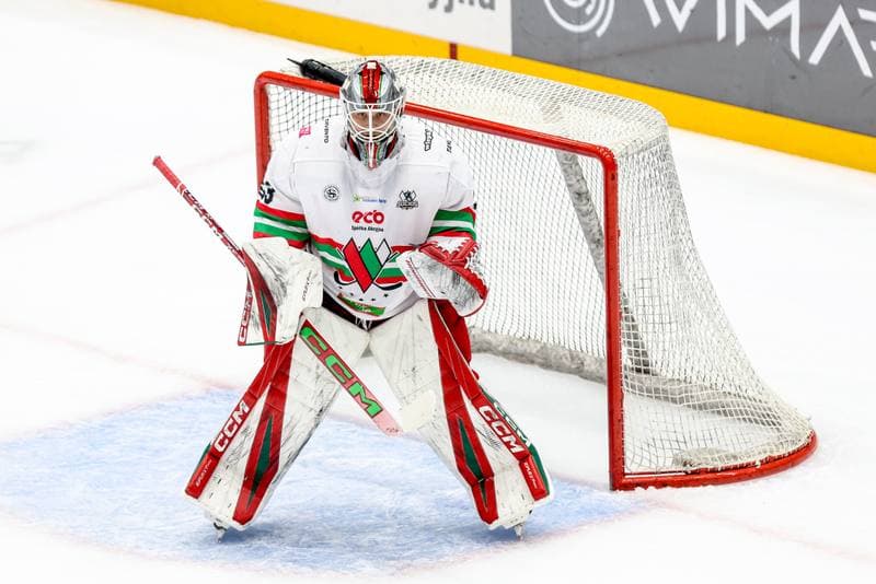 Ice Hockey. Tauron Hokej Liga. ECB Zaglebie Sosnowiec - BS Polonia Bytom. 09.01.2026