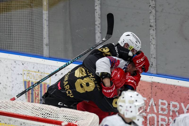 Ice Hockey. Tauron Hokej Liga. BS Polonia Bytom - Comarch Cracovia. 04.01.2026