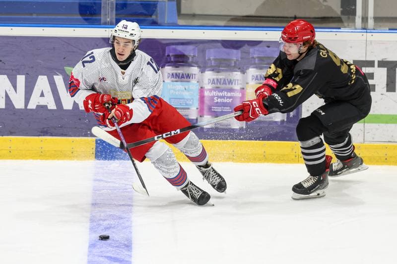 Ice Hockey. Tauron Hokej Liga. BS Polonia Bytom - Comarch Cracovia. 04.01.2026