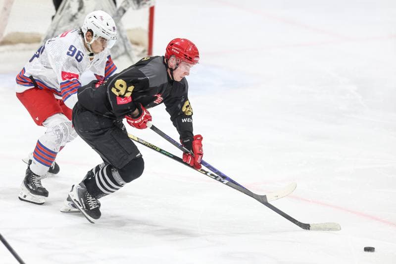 Ice Hockey. Tauron Hokej Liga. BS Polonia Bytom - Comarch Cracovia. 04.01.2026