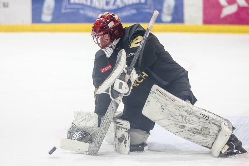 Ice Hockey. Tauron Hokej Liga. BS Polonia Bytom - Comarch Cracovia. 04.01.2026