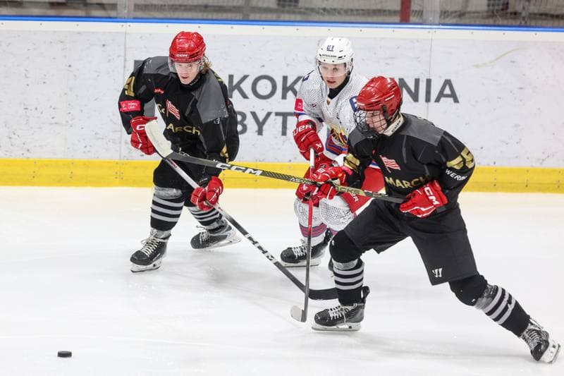 Ice Hockey. Tauron Hokej Liga. BS Polonia Bytom - Comarch Cracovia. 04.01.2026