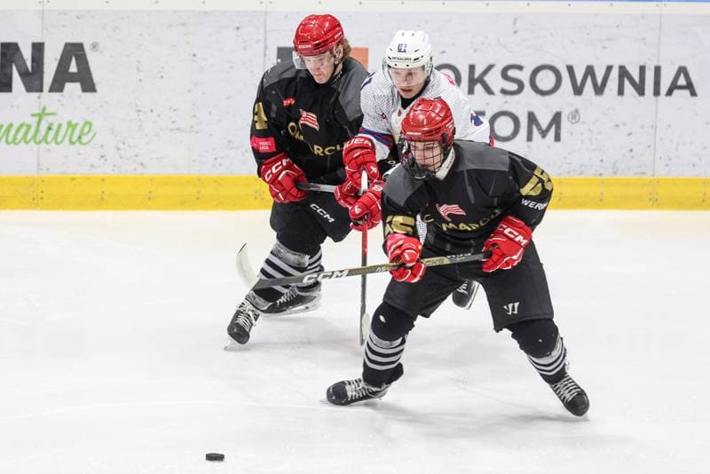 Ice Hockey. Tauron Hokej Liga. BS Polonia Bytom - Comarch Cracovia. 04.01.2026