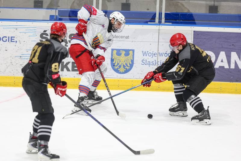 Ice Hockey. Tauron Hokej Liga. BS Polonia Bytom - Comarch Cracovia. 04.01.2026