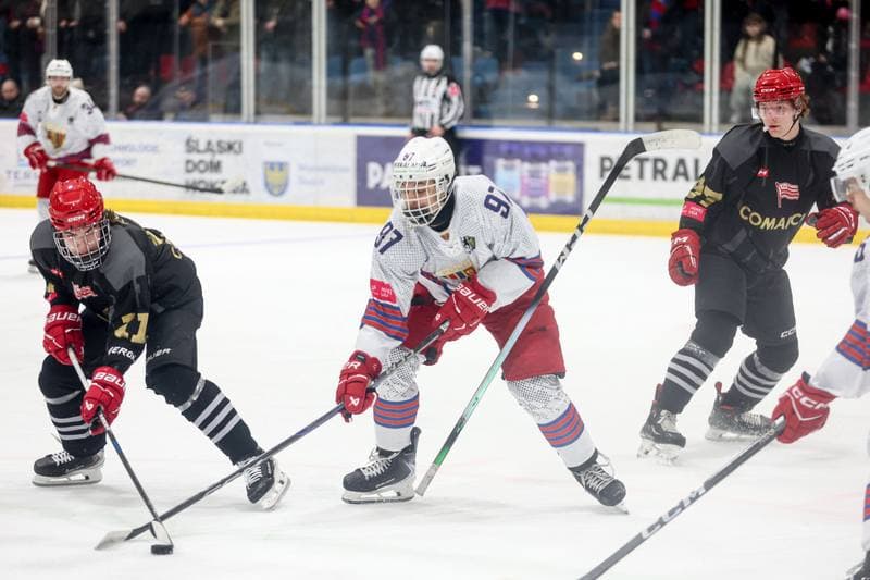 Ice Hockey. Tauron Hokej Liga. BS Polonia Bytom - Comarch Cracovia. 04.01.2026