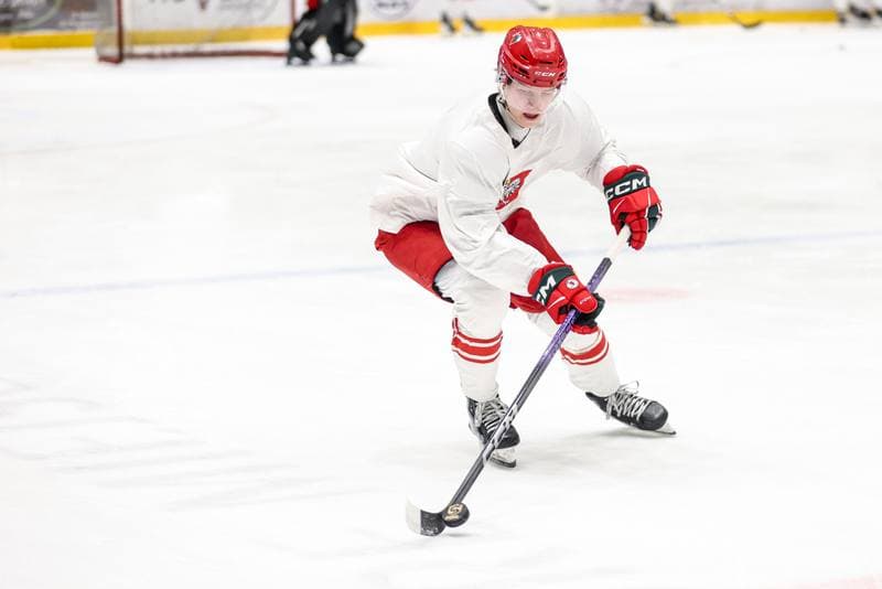 Ice Hockey. Poland national team. Training. 09.12.2025