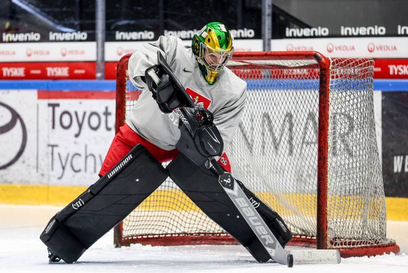Ice Hockey. Poland national team. Training. 09.12.2025