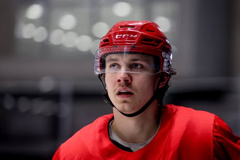 Ice Hockey. Poland national team. Training. 09.12.2025