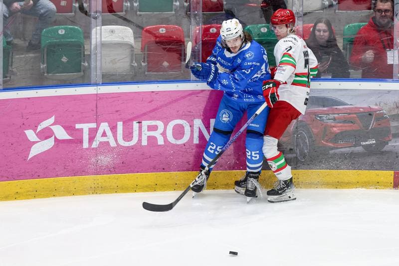 Ice Hockey. Tauron Hokej Liga. ECB Zaglebie Sosnowiec - KS Unia Oswiecim. 17.12.2025