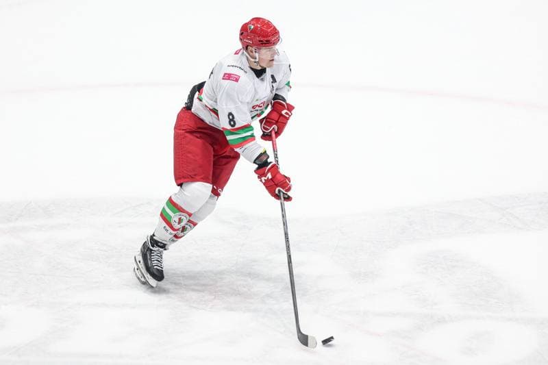 Ice Hockey. Tauron Hokej Liga. ECB Zaglebie Sosnowiec - KS Unia Oswiecim. 17.12.2025