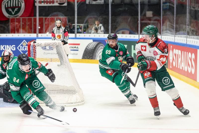 Ice Hockey. Champions Hockey League. GKS Tychy - Frolunda Gothenburg. 04.09.2025