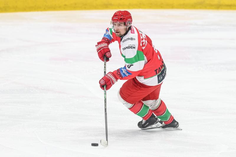 Ice Hockey. Sparing. ECB Zaglebie Sosnowiec - JKH GKS Jastrzebie. 19.08.2025