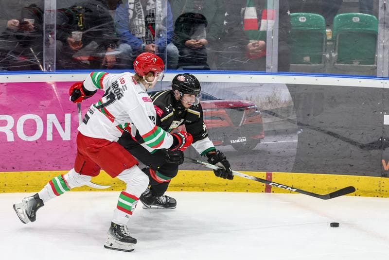 Ice Hockey. Tauron Hokej Liga. ECB Zaglebie Sosnowiec - GKS Tychy. 28.09.2025