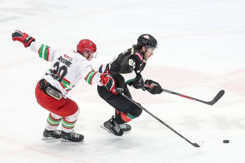 Ice Hockey. Tauron Hokej Liga. ECB Zaglebie Sosnowiec - GKS Tychy. 28.09.2025