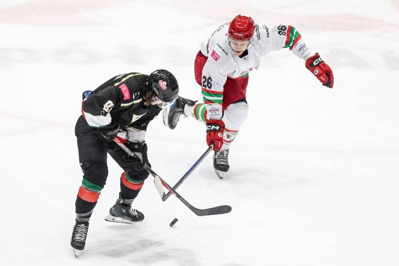Ice Hockey. Tauron Hokej Liga. ECB Zaglebie Sosnowiec - GKS Tychy. 28.09.2025