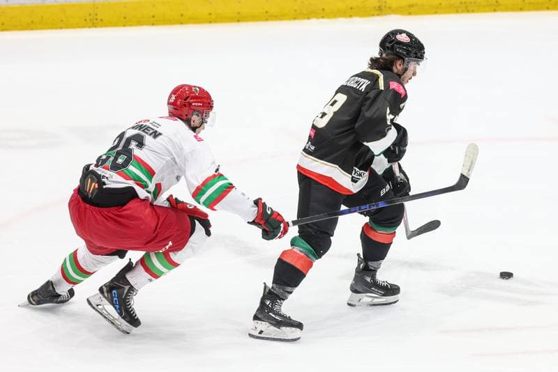 Ice Hockey. Tauron Hokej Liga. ECB Zaglebie Sosnowiec - GKS Tychy. 28.09.2025