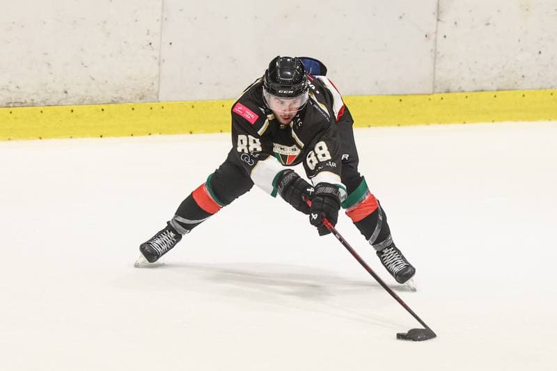 Ice Hockey. Tauron Hokej Liga. JKH GKS Jastrzebie - GKS Tychy. 19.09.2025