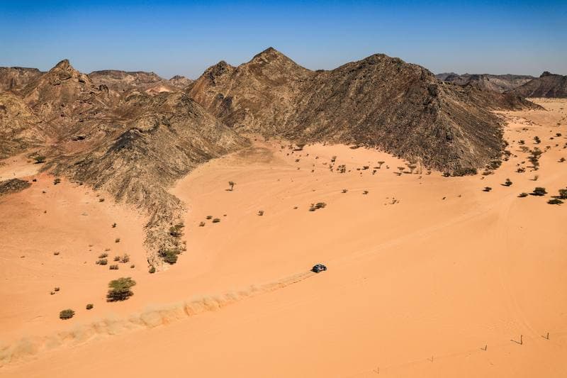 Motorsport. Dakar Rally. Stage 8. 12.01.2026