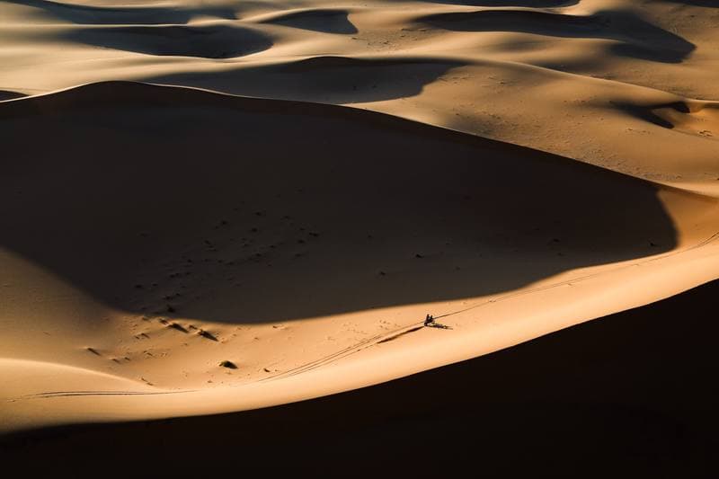 Motorsport. Dakar Rally. Stage 8. 12.01.2026