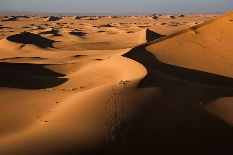Motorsport. Dakar Rally. Stage 8. 12.01.2026