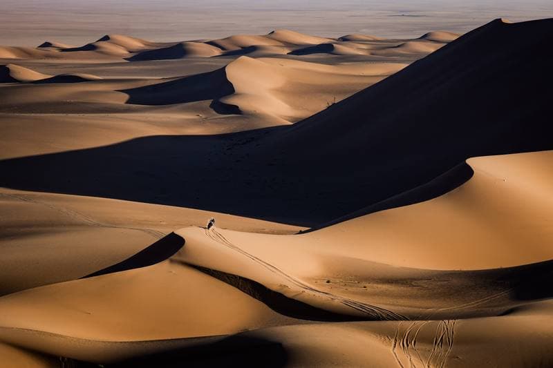 Motorsport. Dakar Rally. Stage 8. 12.01.2026