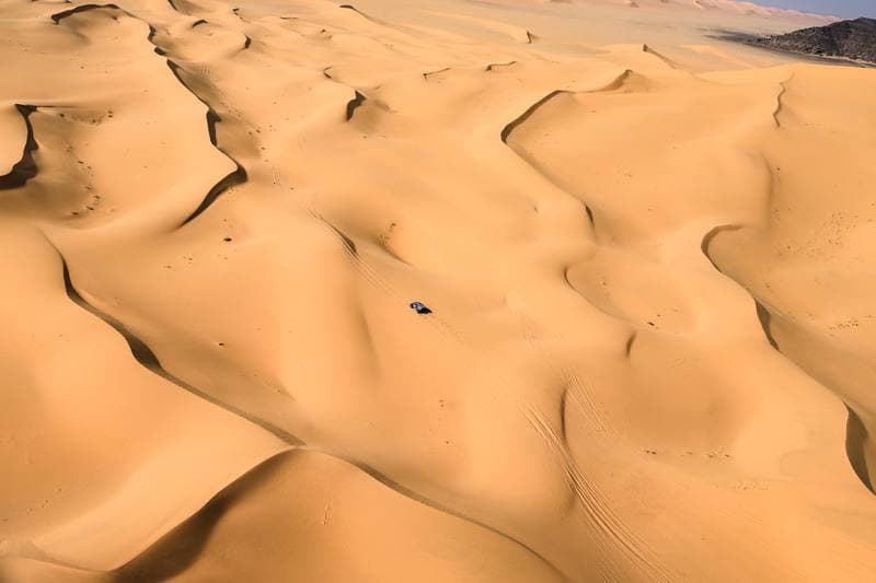 Motorsport. Dakar Rally. Stage 8. 12.01.2026