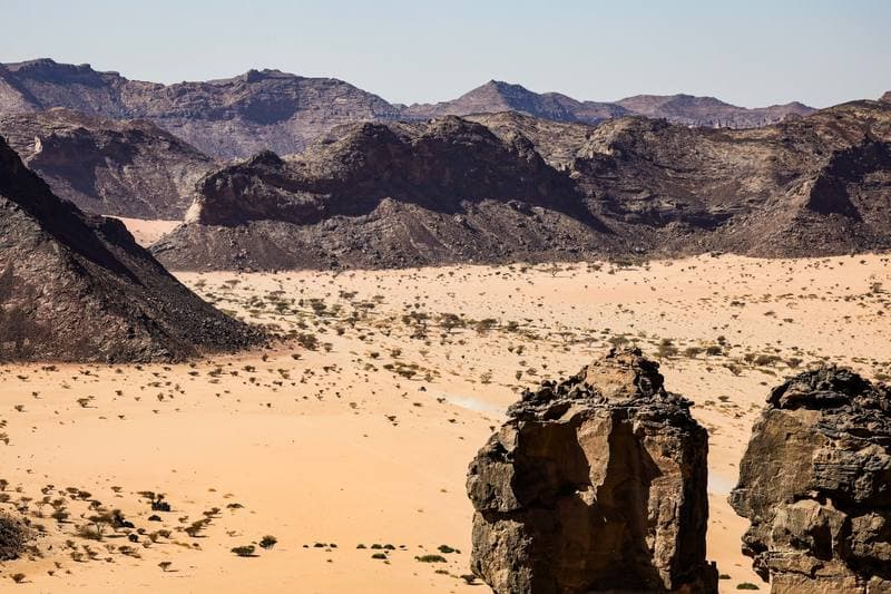 Motorsport. Dakar Rally. Stage 8. 12.01.2026