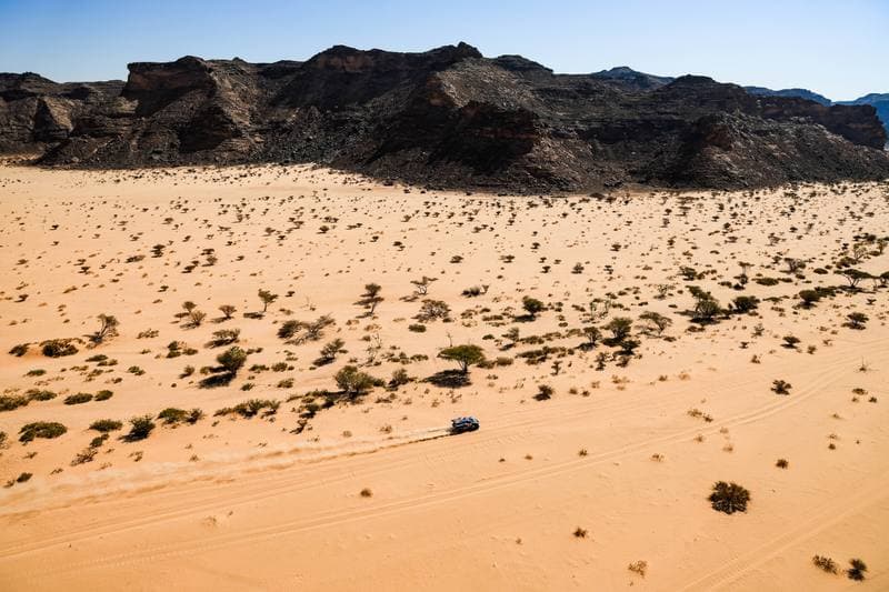 Motorsport. Dakar Rally. Stage 8. 12.01.2026