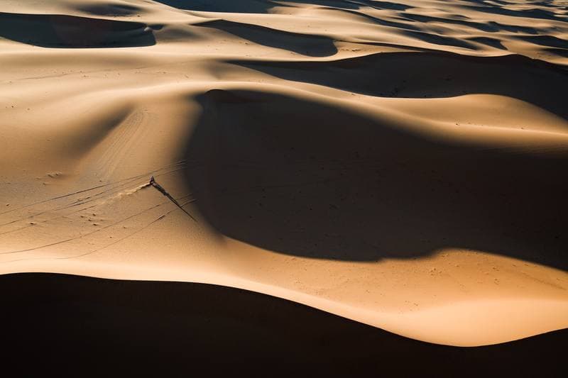 Motorsport. Dakar Rally. Stage 8. 12.01.2026