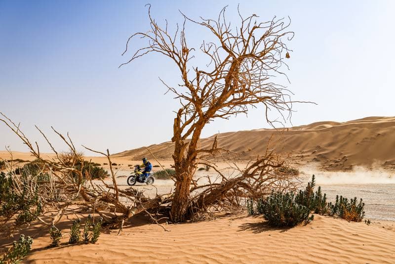 Motorsport. Dakar Rally. Stage 7. 11.01.2026