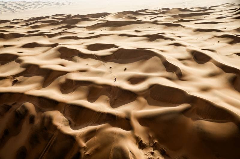 Motorsport. Dakar Rally. Stage 7. 11.01.2026