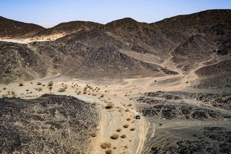 Motorsport. Dakar Rally. Stage 7. 11.01.2026