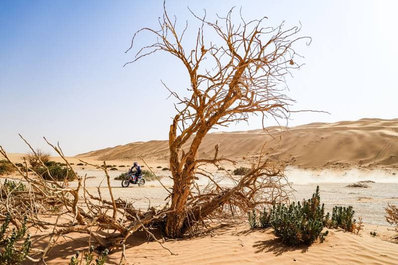 Motorsport. Dakar Rally. Stage 7. 11.01.2026
