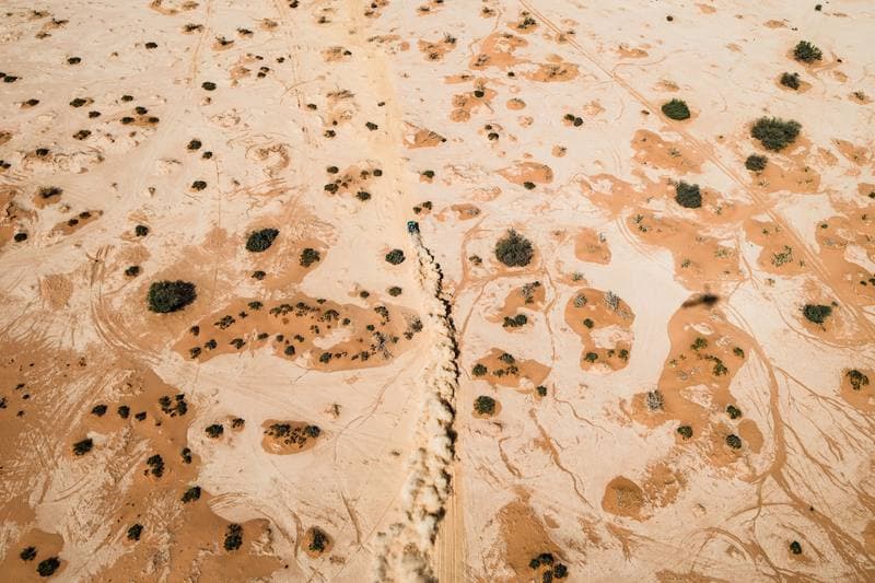 Motorsport. Dakar Rally. Stage 7. 11.01.2026