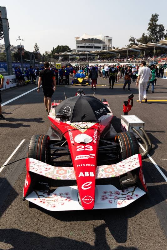 Motorsport. Formula E. Mexico City ePrix. 10.01.2025
