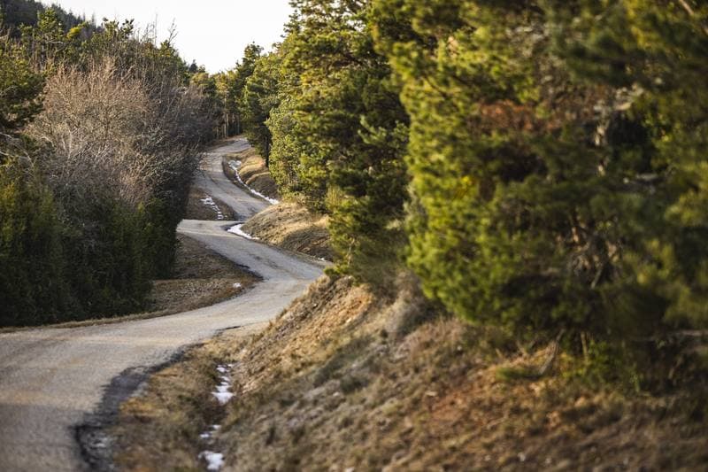 Motorsport. WRC. Rallye Automobile Monte Carlo. 22.01.2026