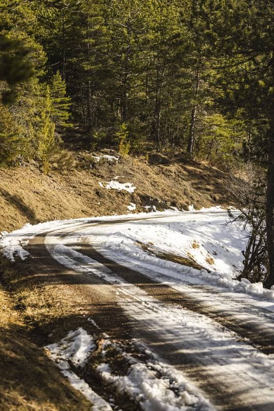 Motorsport. WRC. Rallye Automobile Monte Carlo. 22.01.2026