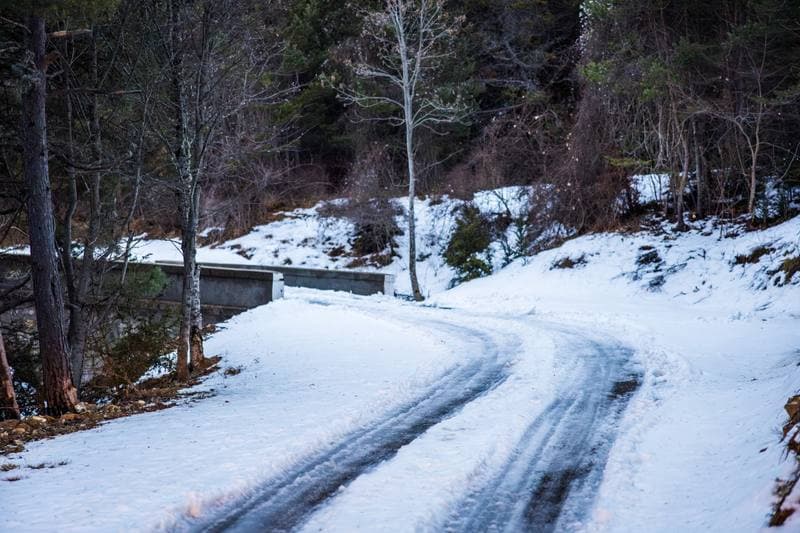 Motorsport. WRC. Rallye Automobile Monte Carlo. 22.01.2026