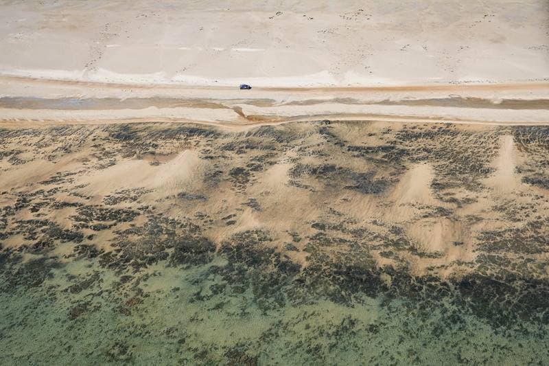 Motorsport. Dakar Rally. Stage 13. 17.01.2026