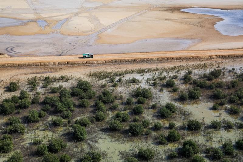Motorsport. Dakar Rally. Stage 13. 17.01.2026