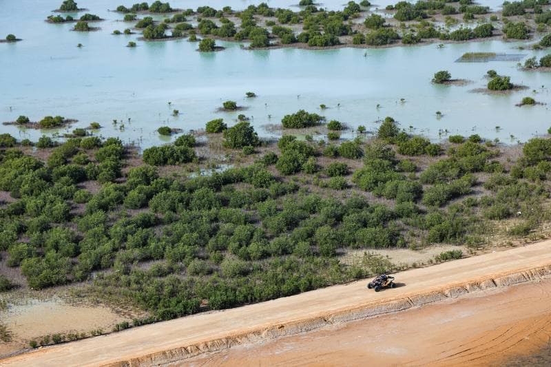 Motorsport. Dakar Rally. Stage 13. 17.01.2026